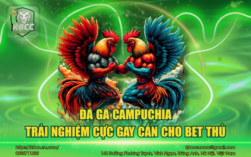 Đá Gà Campuchia - Trải nghiệm cực gay cấn cho bet thủ 9 Đá gà Campuchia – Trải nghiệm cực gay cấn cho bet thủ