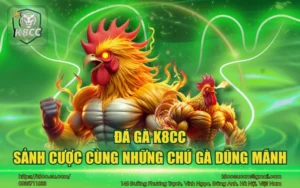 Đá Gà K8CC - Sảnh cược đá gà đỉnh cao cho bet thủ 2 Đá gà K8CC - Sảnh cược cùng những chú gà dũng mãnh