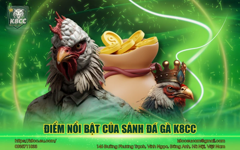 Đá Gà K8CC - Sảnh cược đá gà đỉnh cao cho bet thủ 3 Điểm nổi bật của sảnh đá gà K8CC