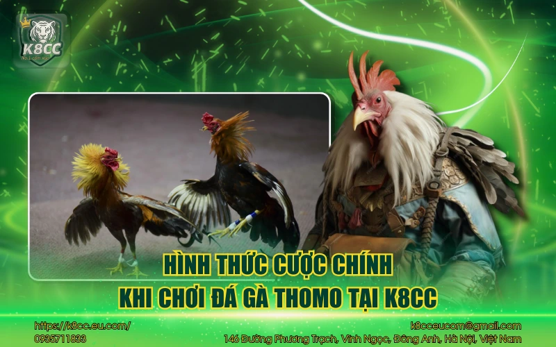 Đá Gà Thomo K8CC - Đỉnh cao đấu trường chuẩn quốc tế  4 Hình thức cược chính khi chơi đá gà Thomo tại K8CC