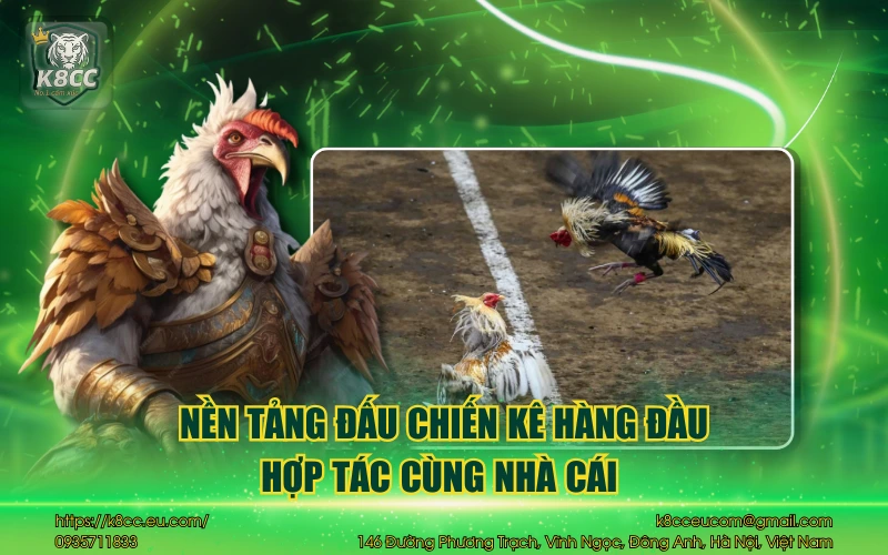 Đá Gà Thomo K8CC - Đỉnh cao đấu trường chuẩn quốc tế  3 Nền tảng đấu chiến kê hàng đầu hợp tác cùng nhà cái