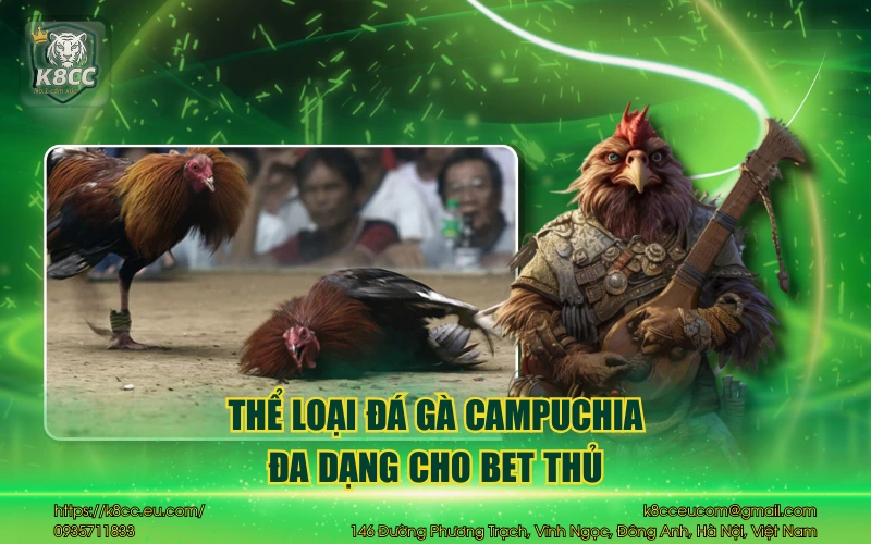 Đá Gà Campuchia - Trải nghiệm cực gay cấn cho bet thủ 4 Thể loại đá gà Campuchia đa dạng cho bet thủ