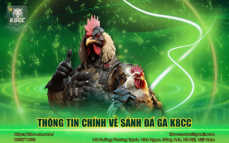 Đá Gà K8CC - Sảnh cược đá gà đỉnh cao cho bet thủ 2 Thông tin chính về sảnh đá gà K8CC