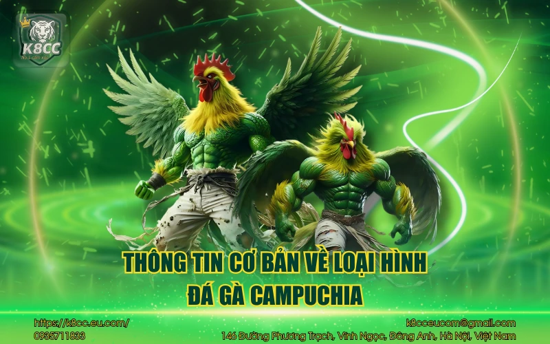 Đá Gà Campuchia - Trải nghiệm cực gay cấn cho bet thủ 2 Thông tin cơ bản về loại hình đá gà Campuchia
